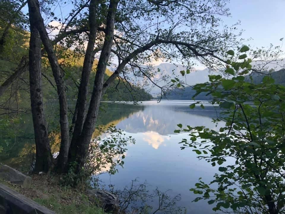 Villa Miriam Levico Terme Zewnętrze zdjęcie