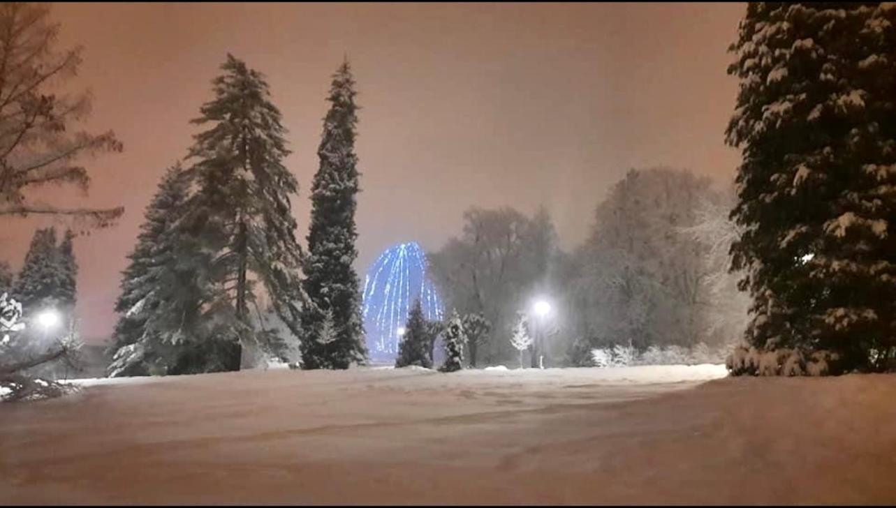 Villa Miriam Levico Terme Zewnętrze zdjęcie
